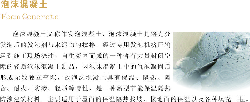 前部分 泡沫圖簡(jiǎn)介.jpg